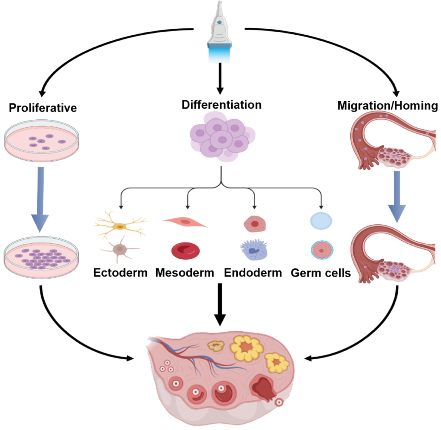 Next follows the figure caption