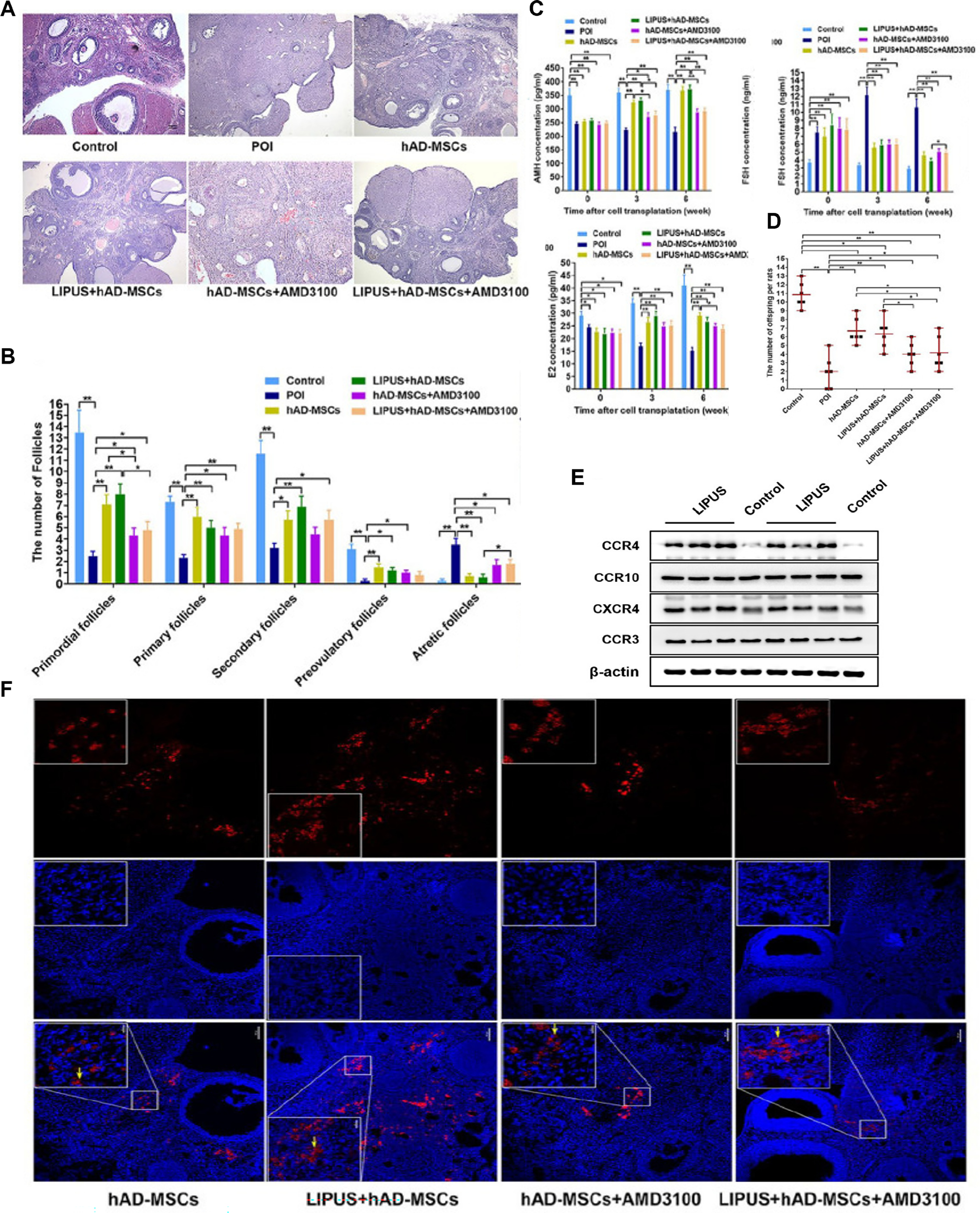 Next follows the figure caption