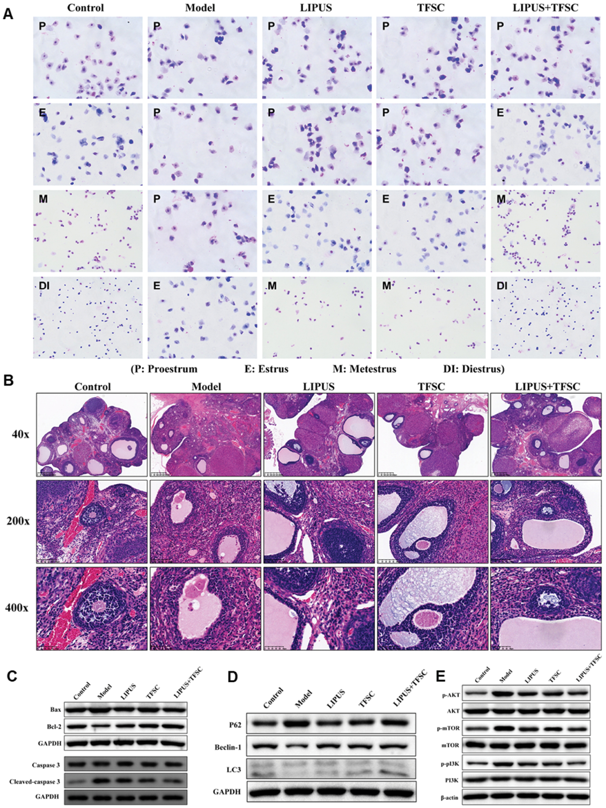 Next follows the figure caption