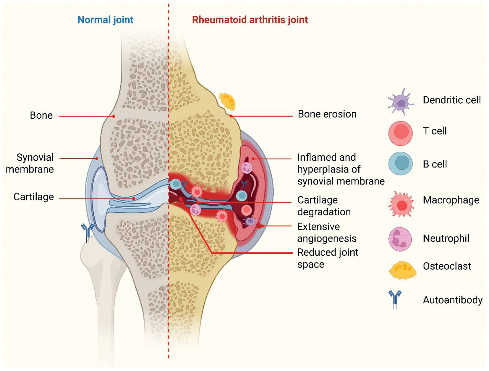 Next follows the figure caption