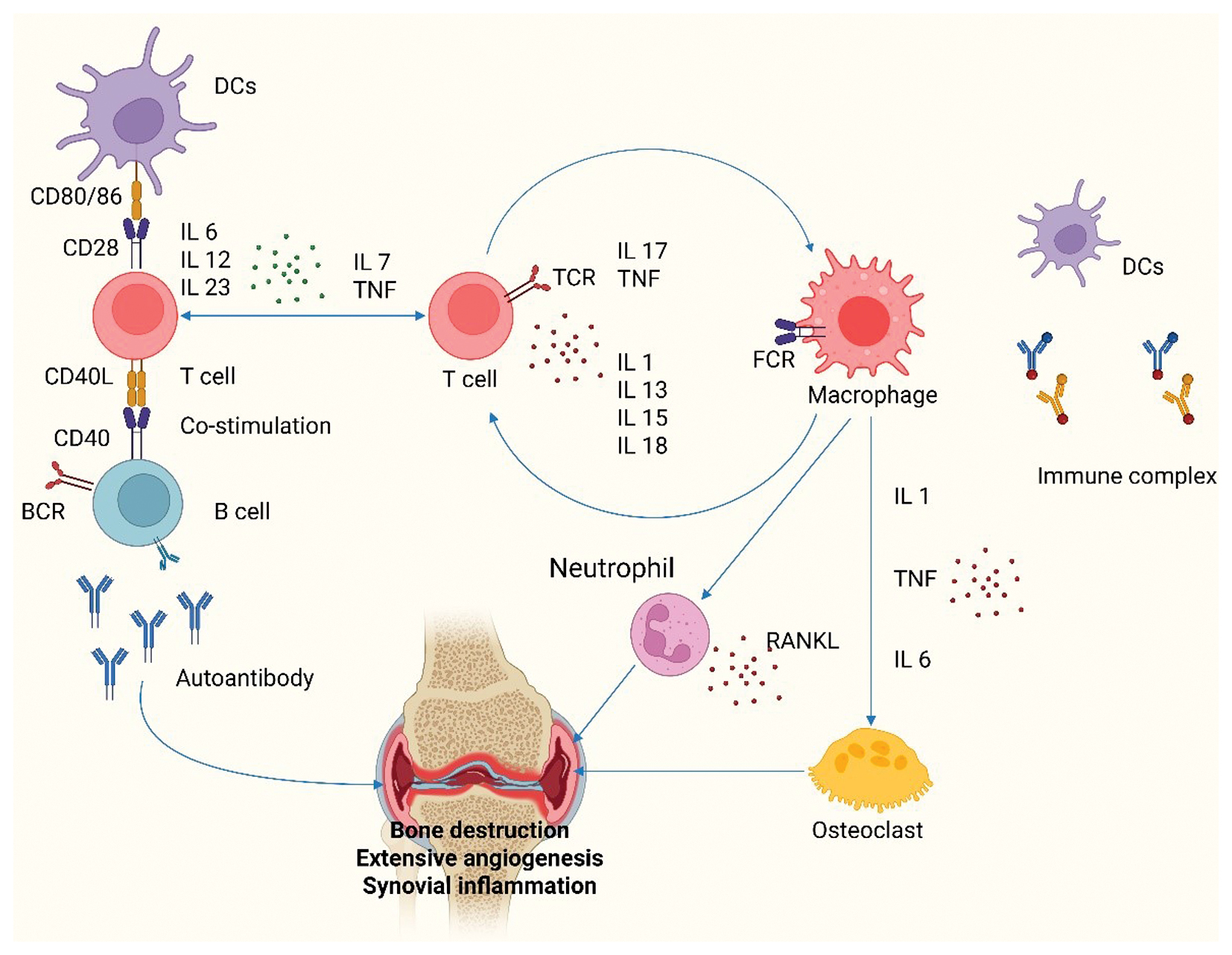 Next follows the figure caption