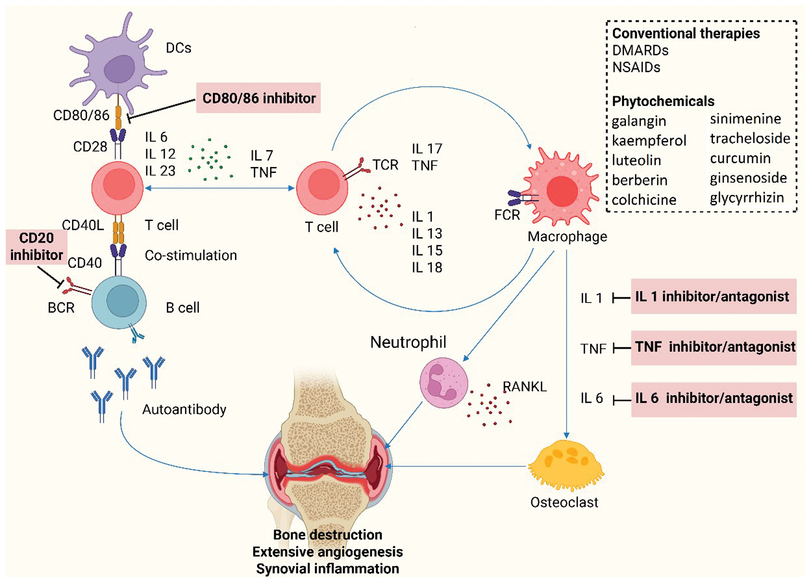 Next follows the figure caption