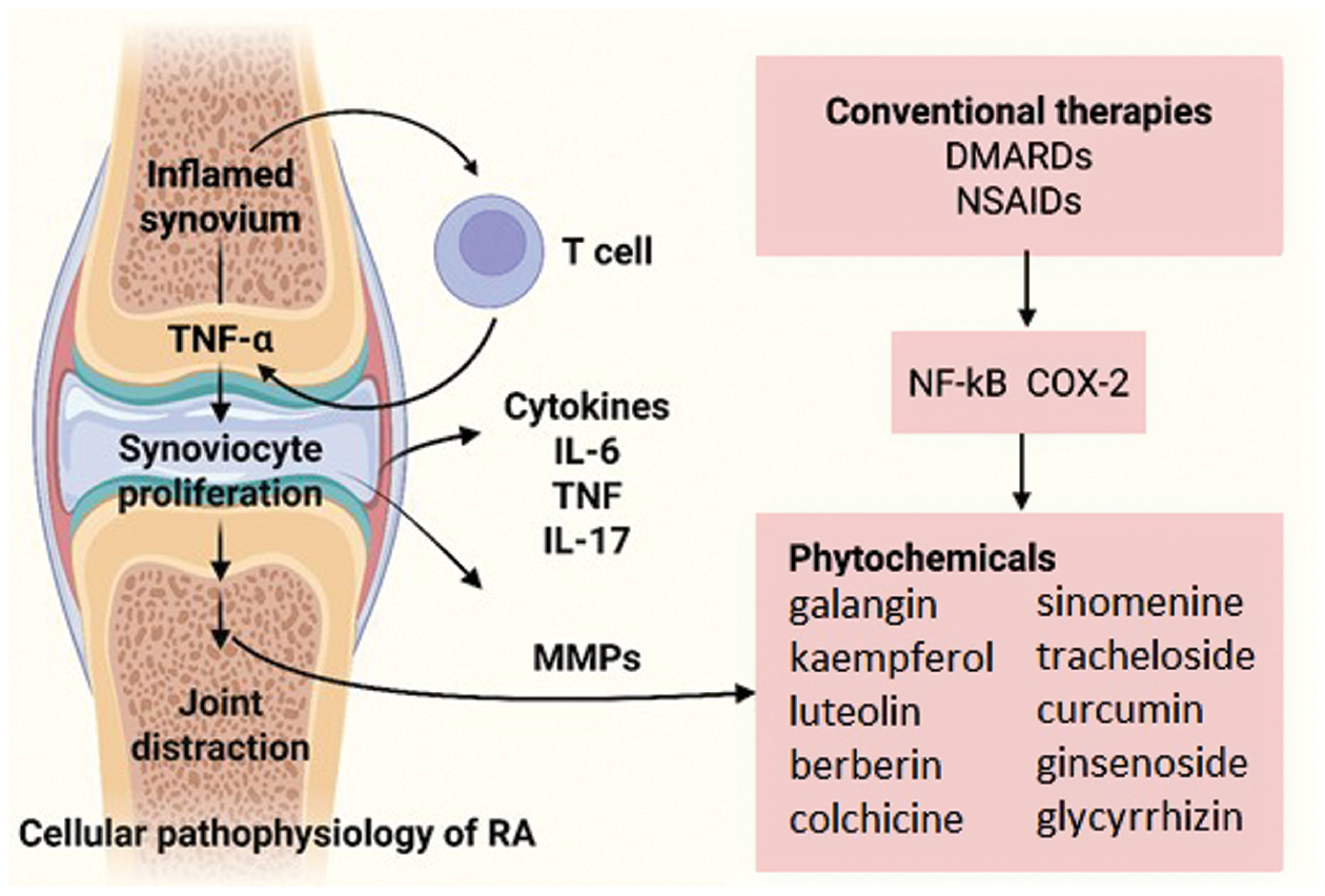 Next follows the graphical abstract