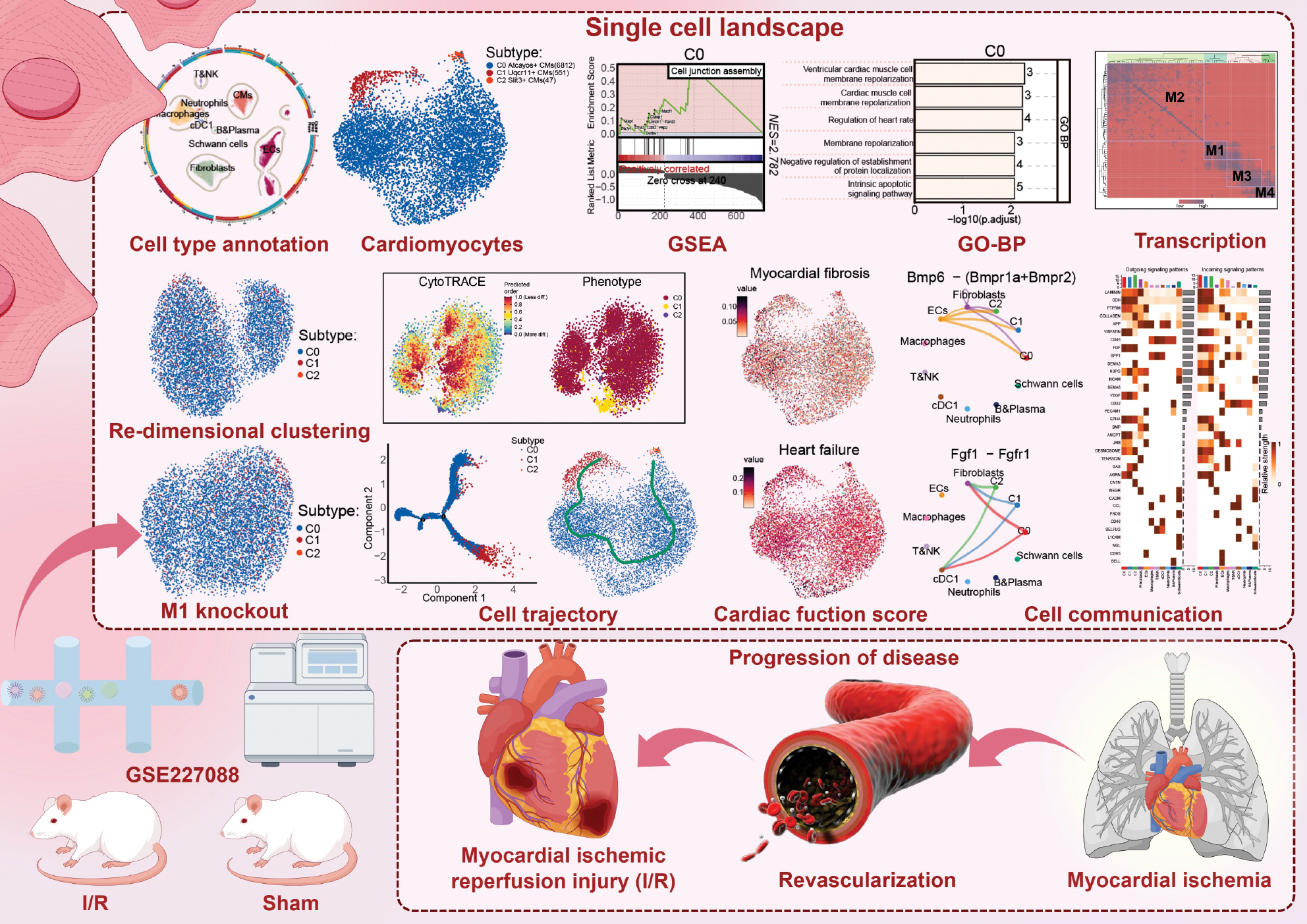 Next follows the figure caption