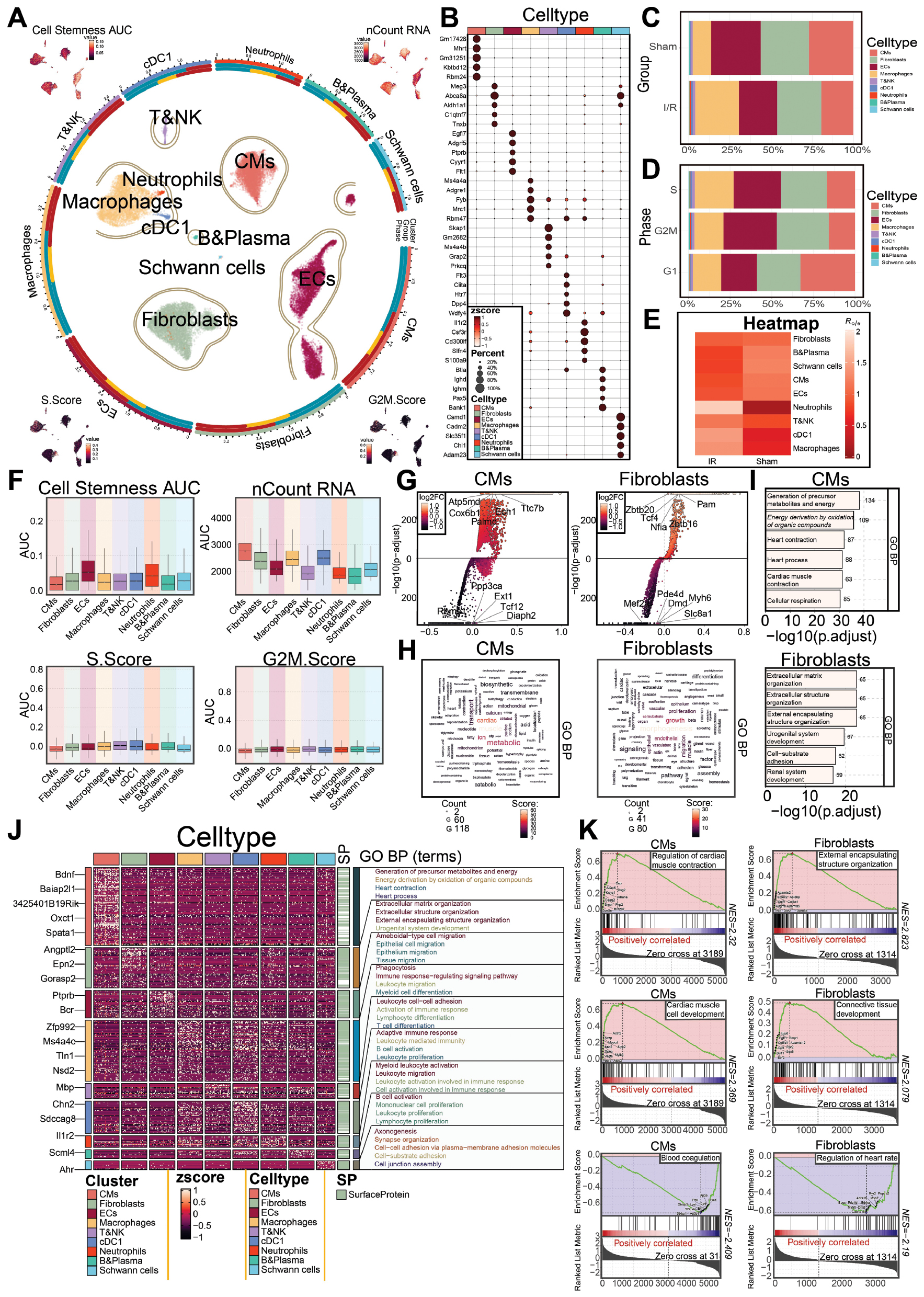 Next follows the figure caption