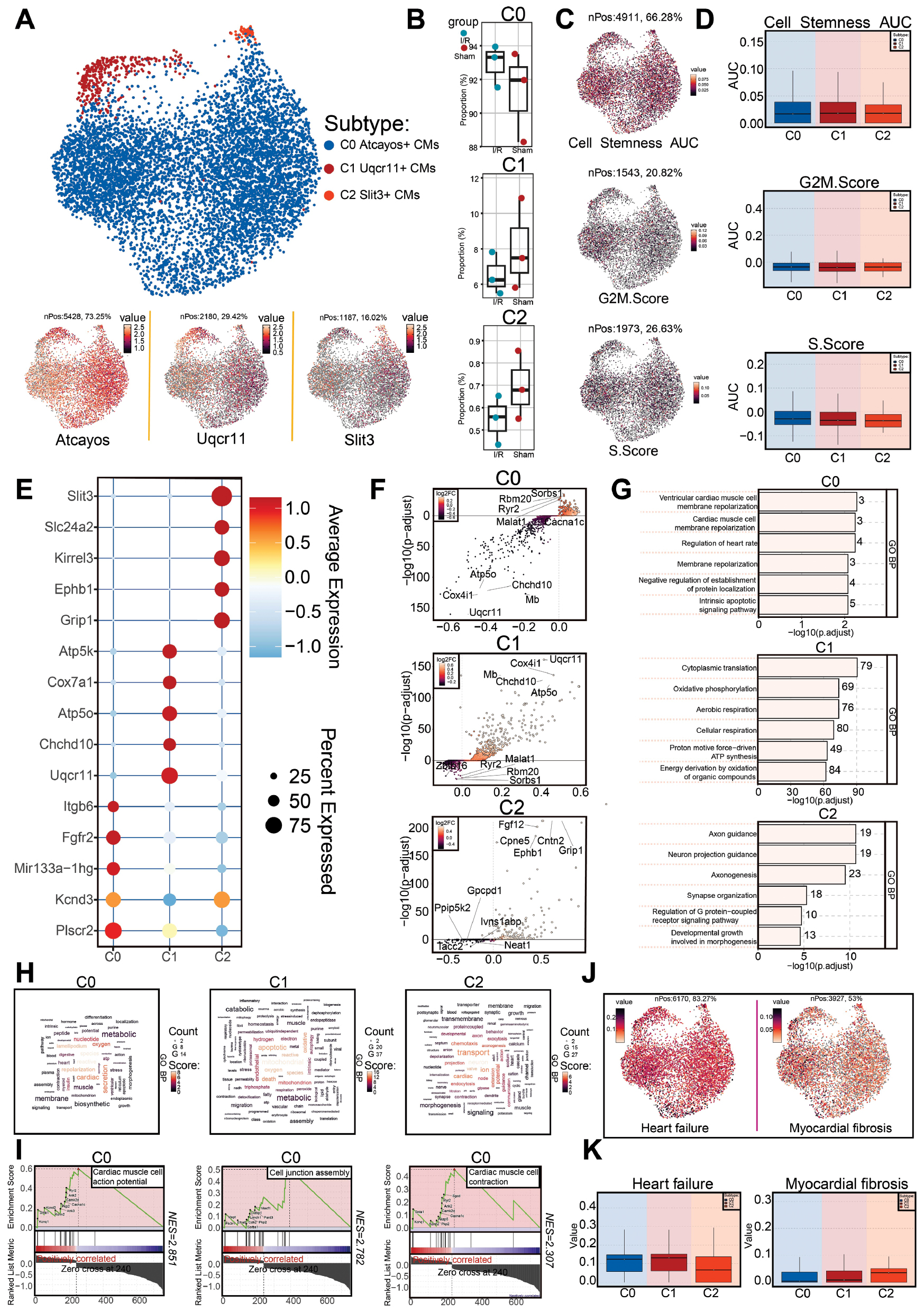Next follows the figure caption