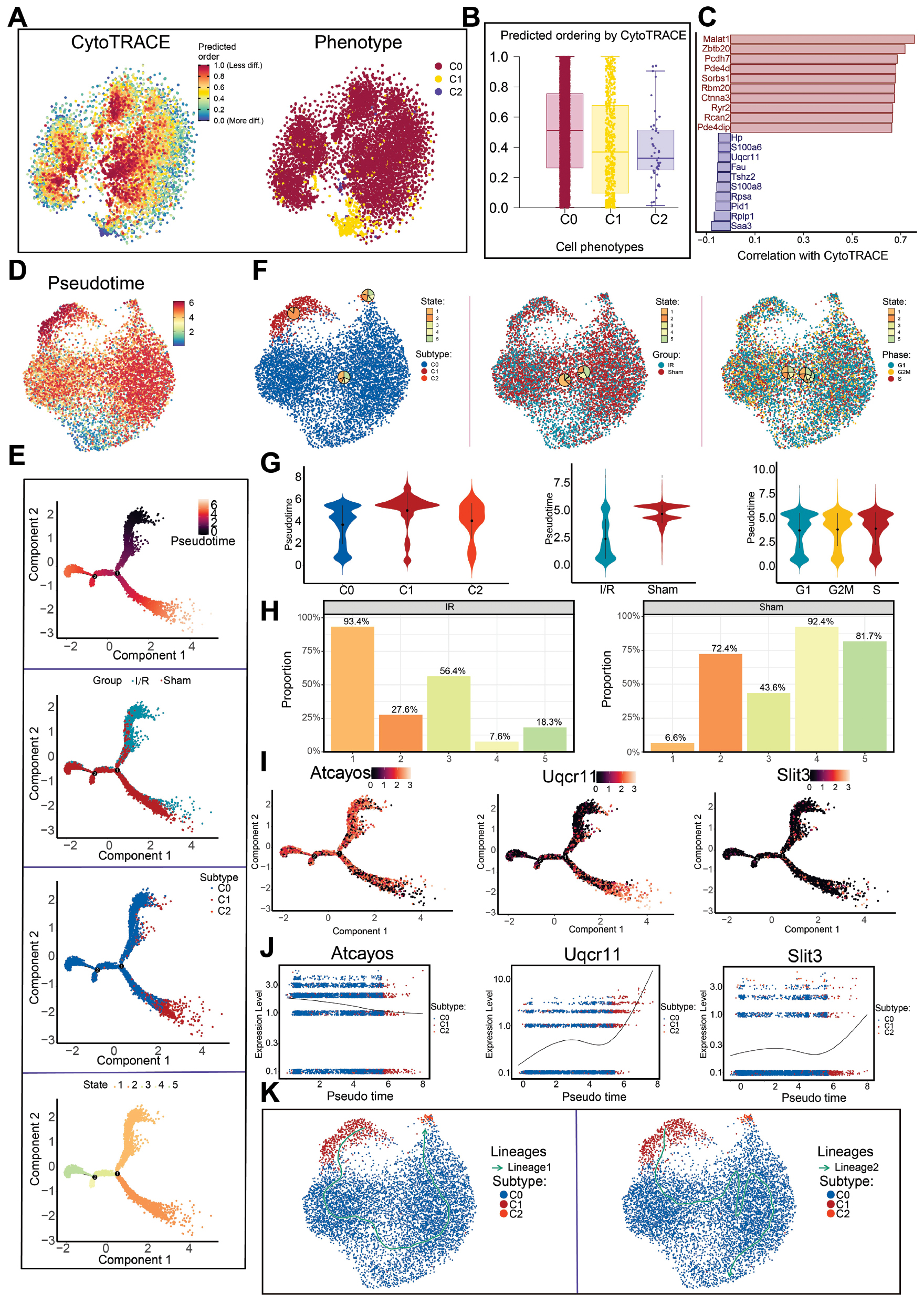 Next follows the figure caption