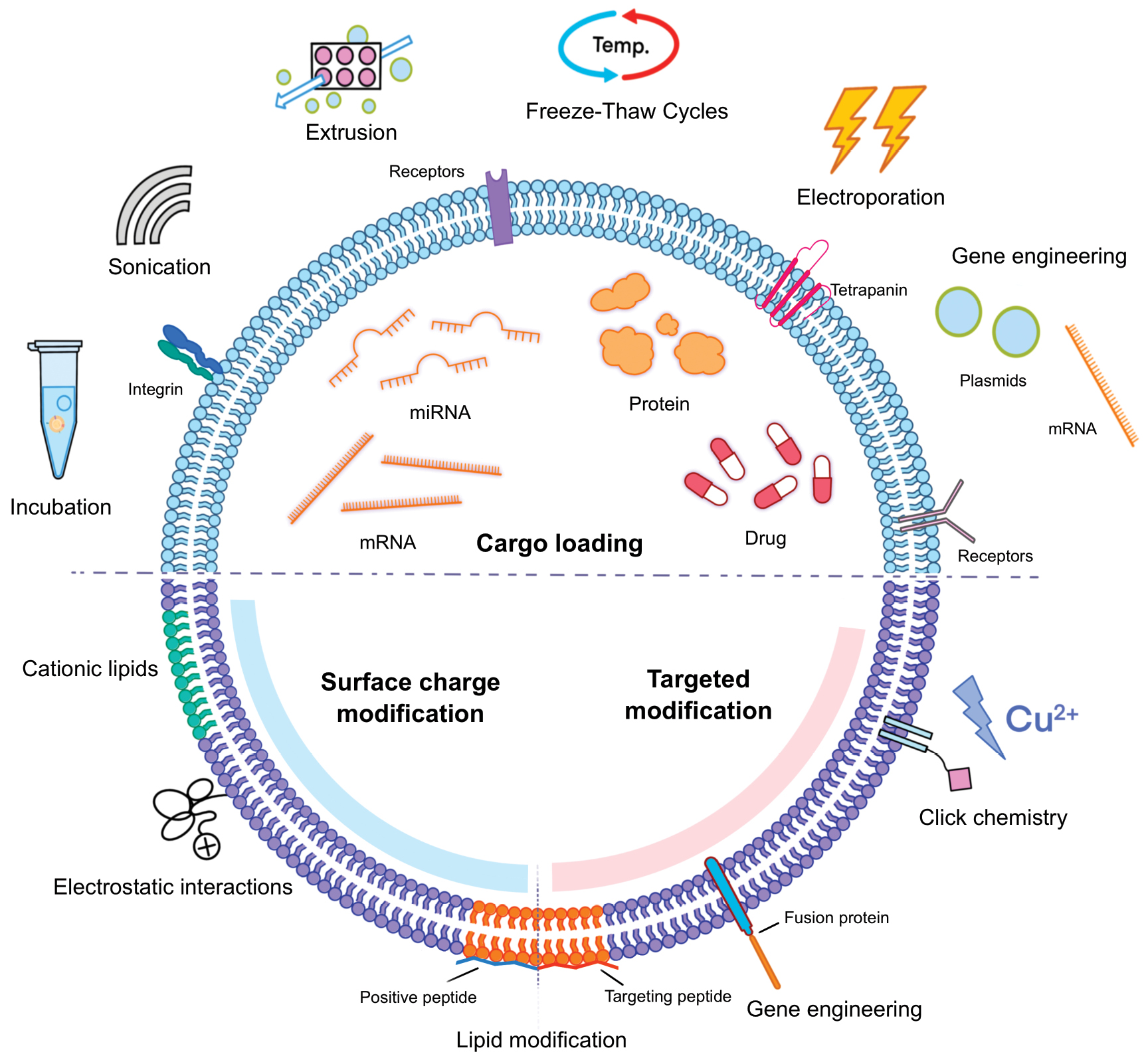 Next follows the figure caption