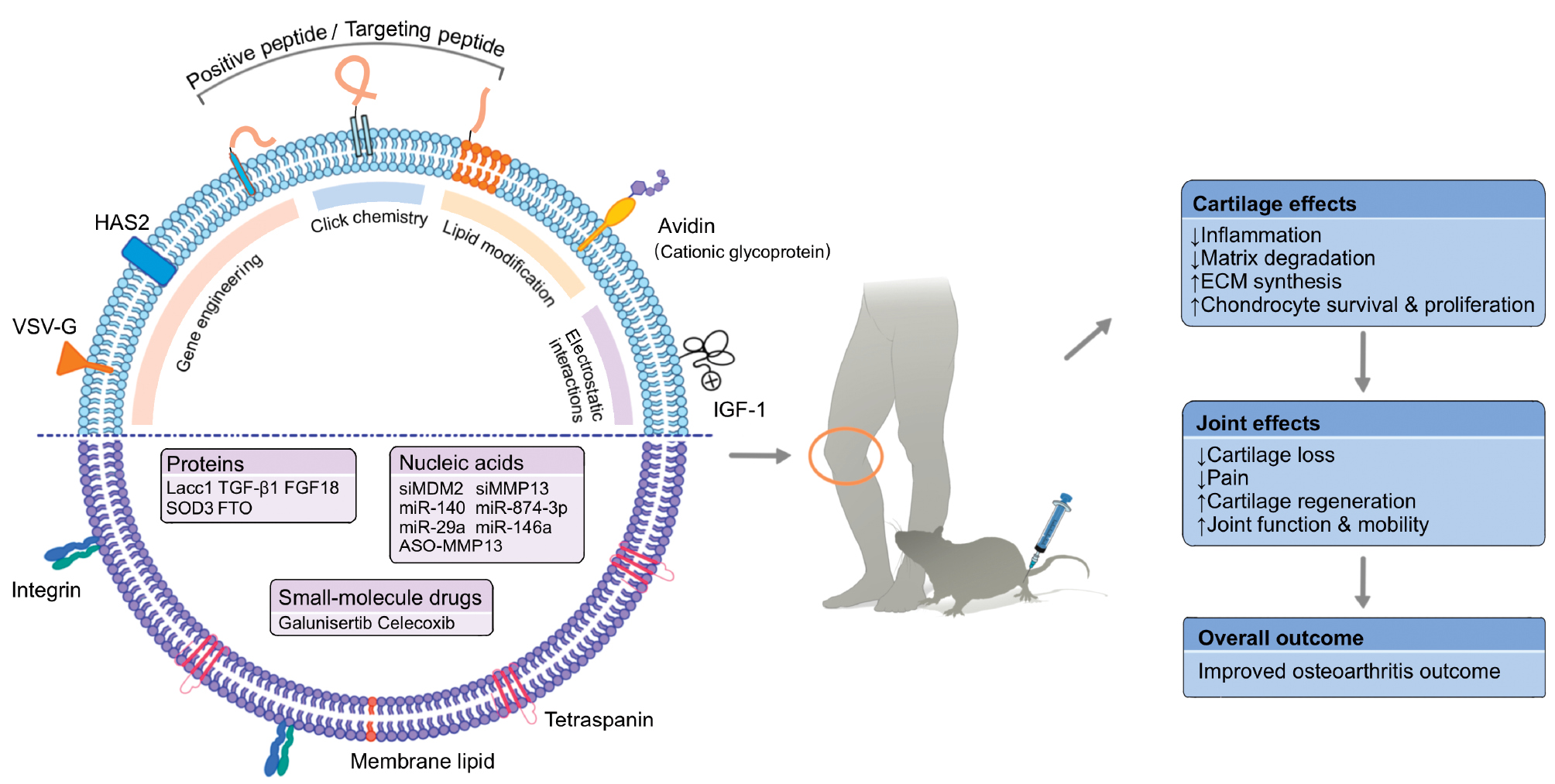 Next follows the figure caption