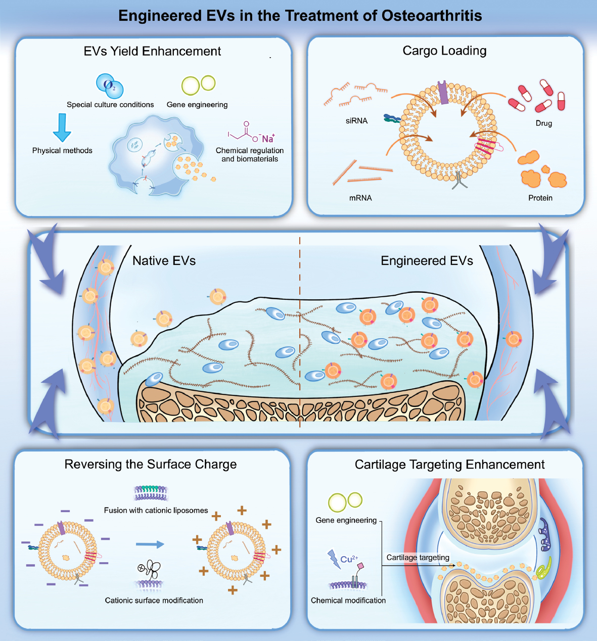 Next follows the graphical abstract