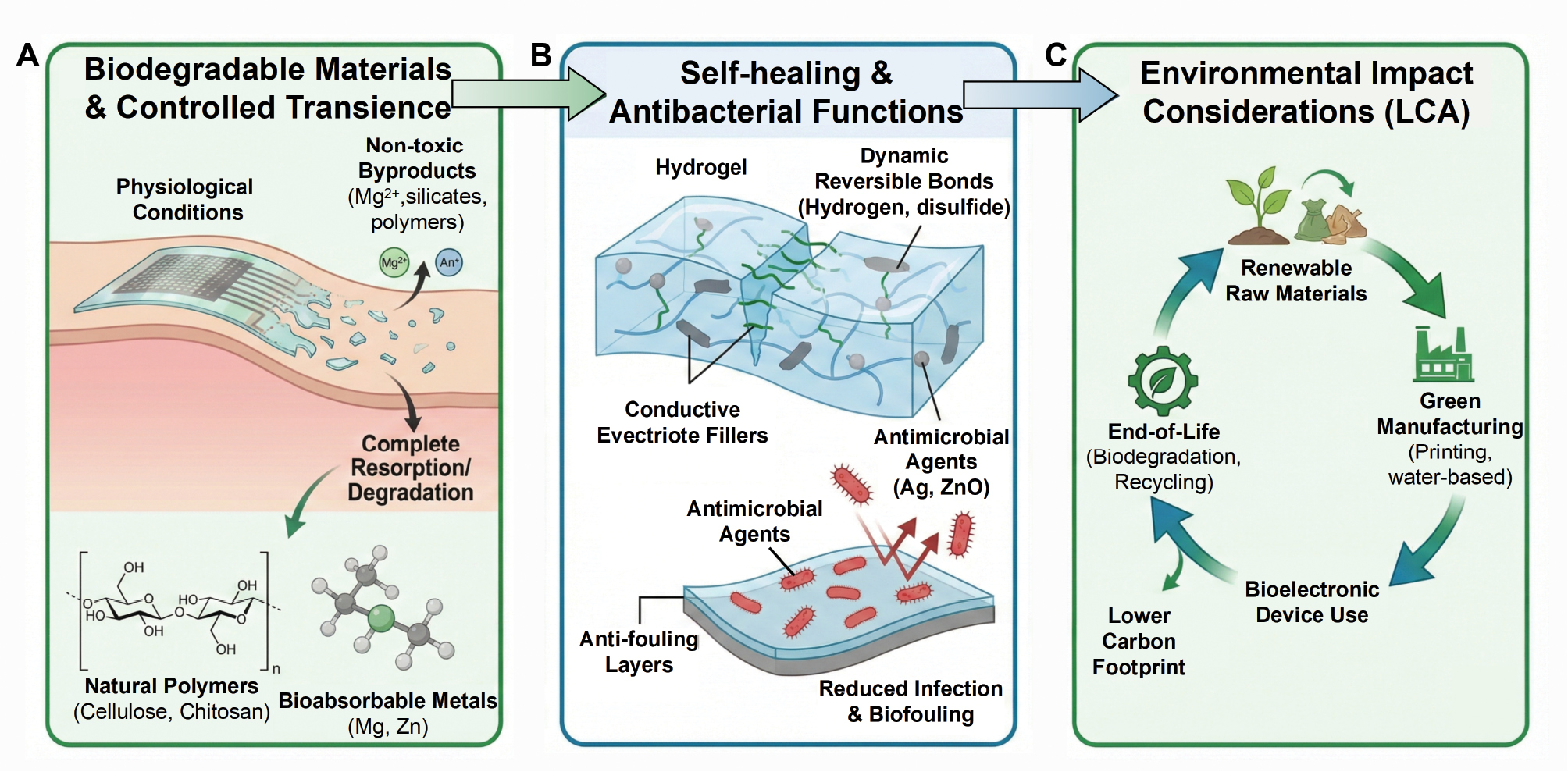 Next follows the figure caption