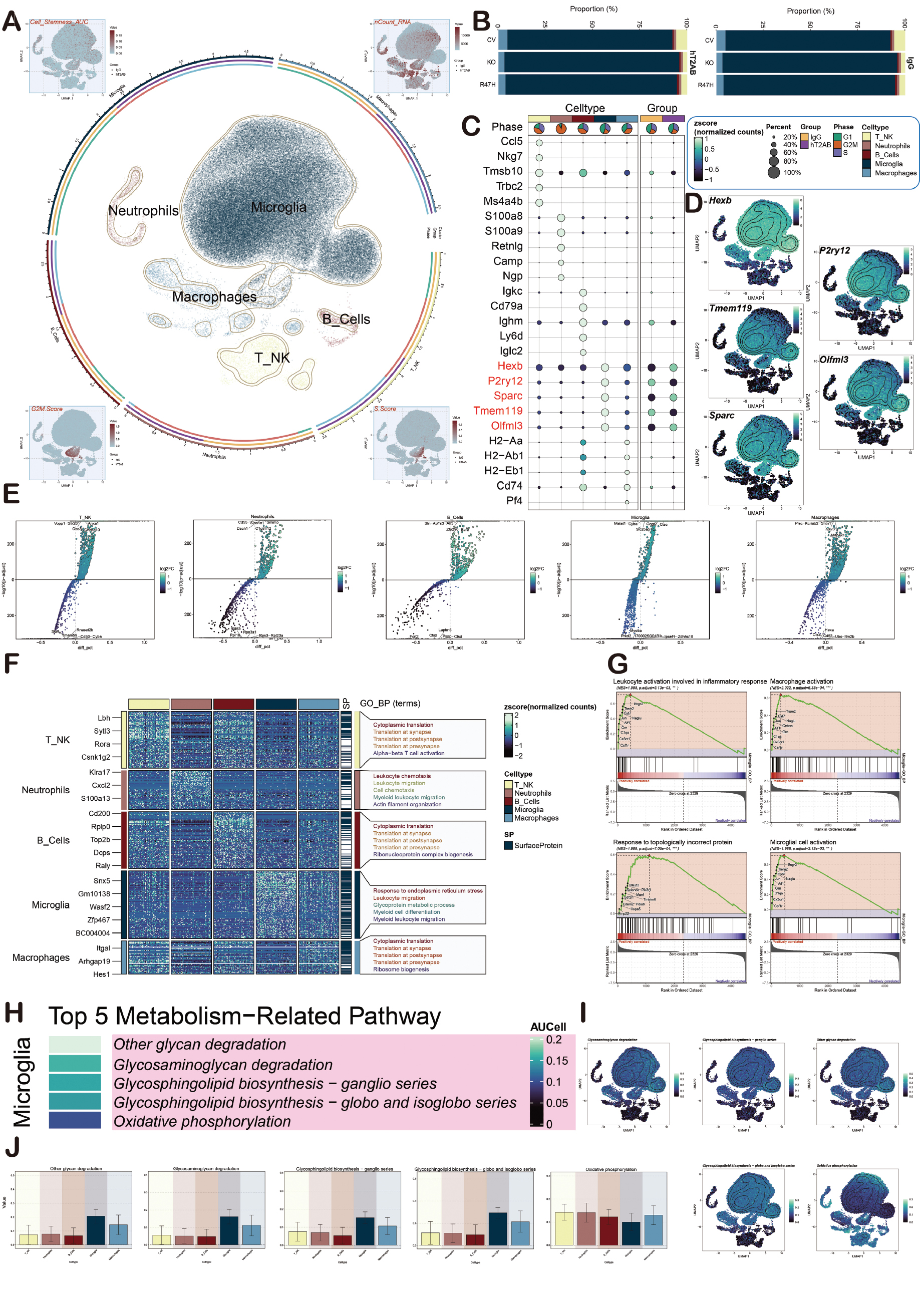 Next follows the figure caption