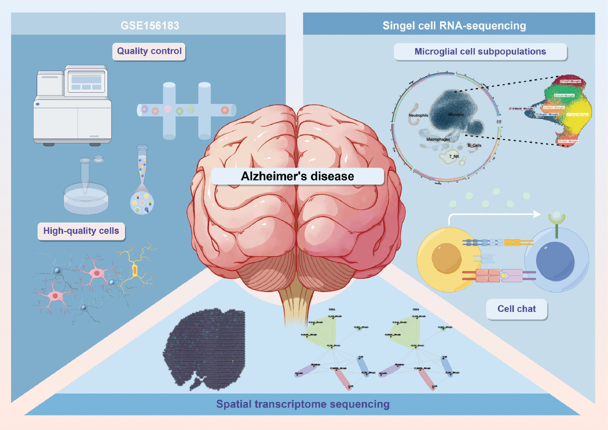 Next follows the graphical abstract