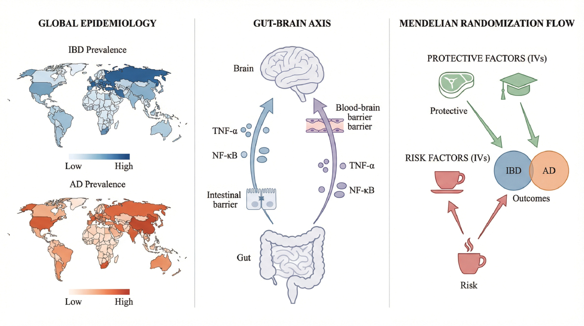 Next follows the graphical abstract
