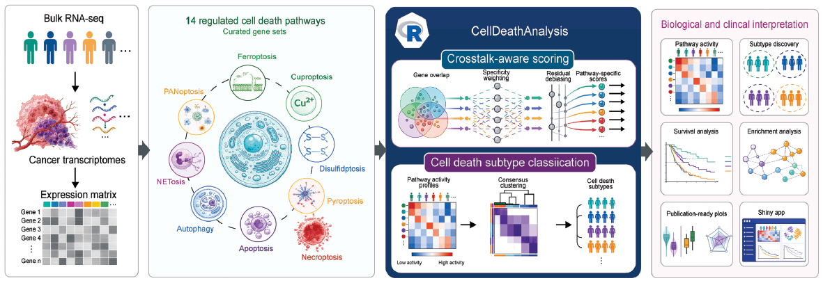 Next follows the graphical abstract