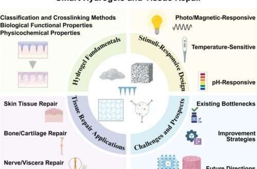 Smart hydrogels