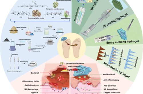 TCM polysaccharide hydrogels accelerate skin wound healing
