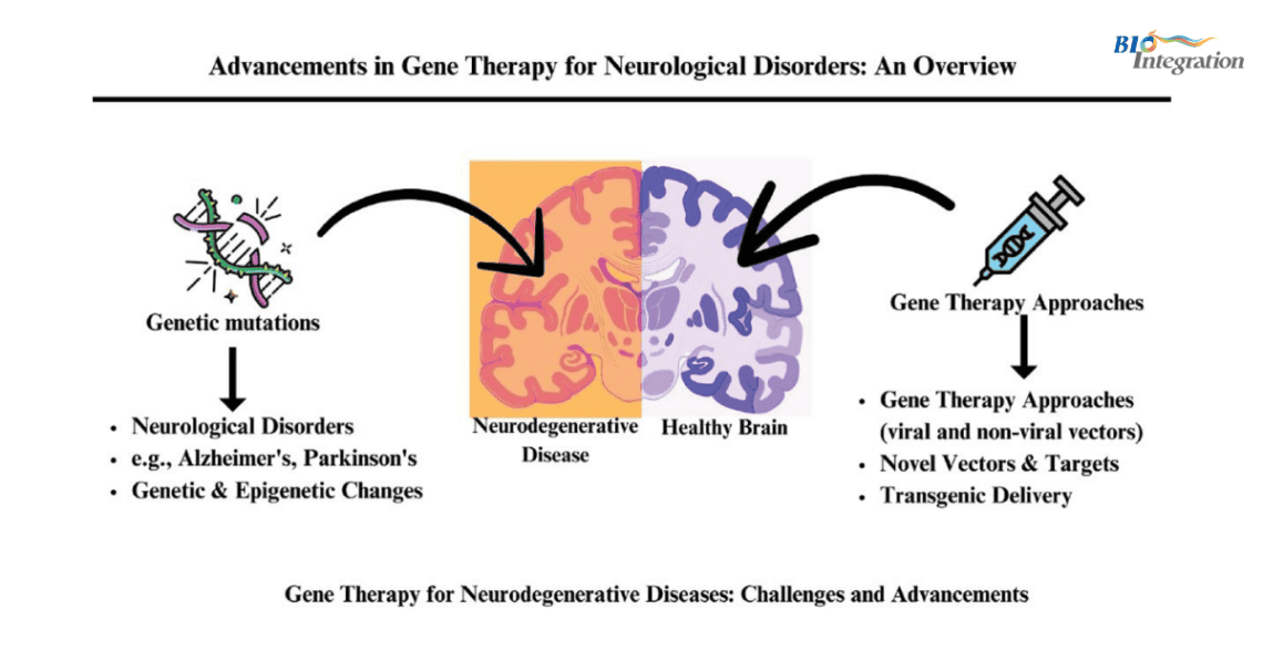 Advances in Gene Therapy for Neurologic Disorders