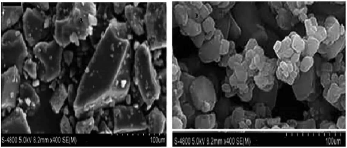 Study of Spray-Drying and Freeze-Drying Techniques