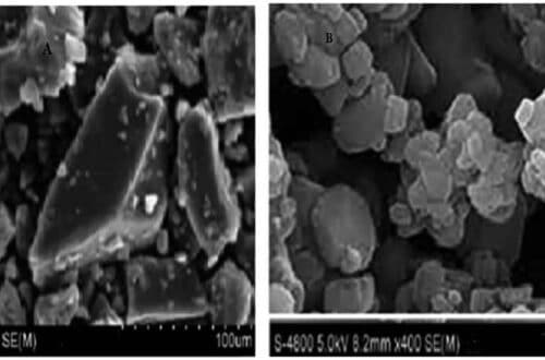 Study of Spray-Drying and Freeze-Drying Techniques