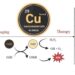 Copper-Based Nanomaterials for Image-Guided Cancer Therapy