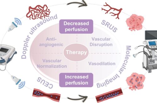 Tumor Vascular Targeting