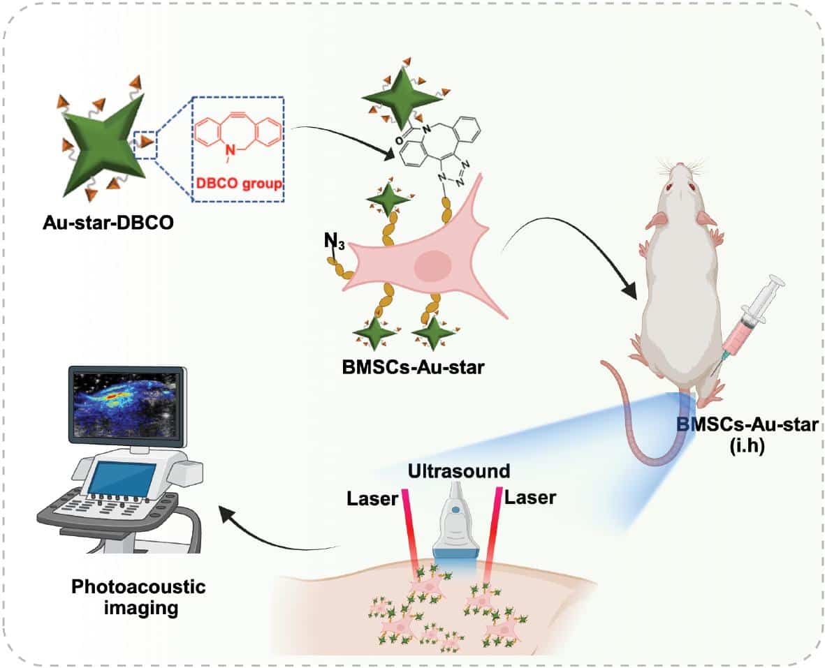 Rapid and Specific Cell-Surface Anchoring of Gold Nanostars for ...