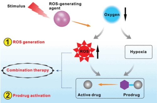 schematic illustration of the integration of ROS generation and prodrug activation