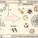 ruthenium nanoclusters