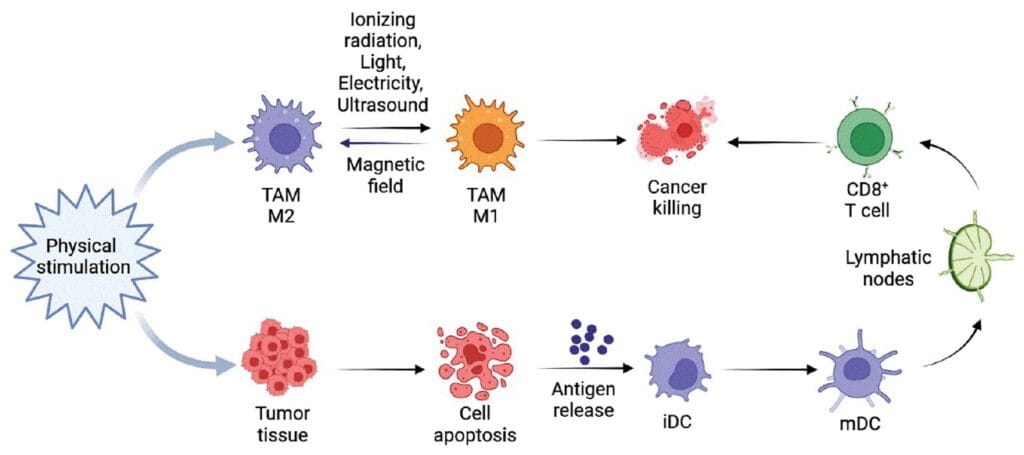 Non-Invasive Physical Stimulation to Modulate the Tumor ...