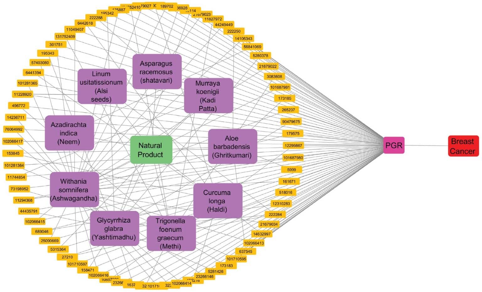 Integrated Network Ethnopharmacology, Molecular Docking, and ADMET ...