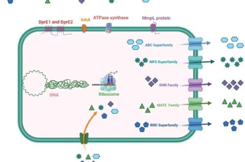 RecordAbstractArticle Combating Multi-drug Resistant Mycobacterium Species by Efflux Pump Inhibitors: Contemporary Trends