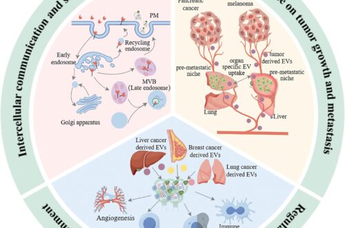 Extracellular vesicle