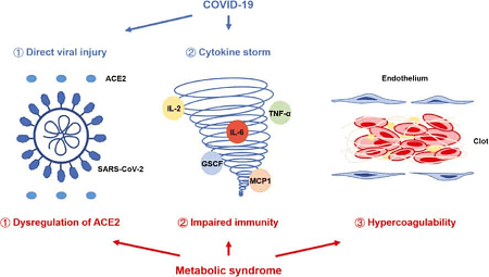 metabolic-syndrome-interacts-with-covid19